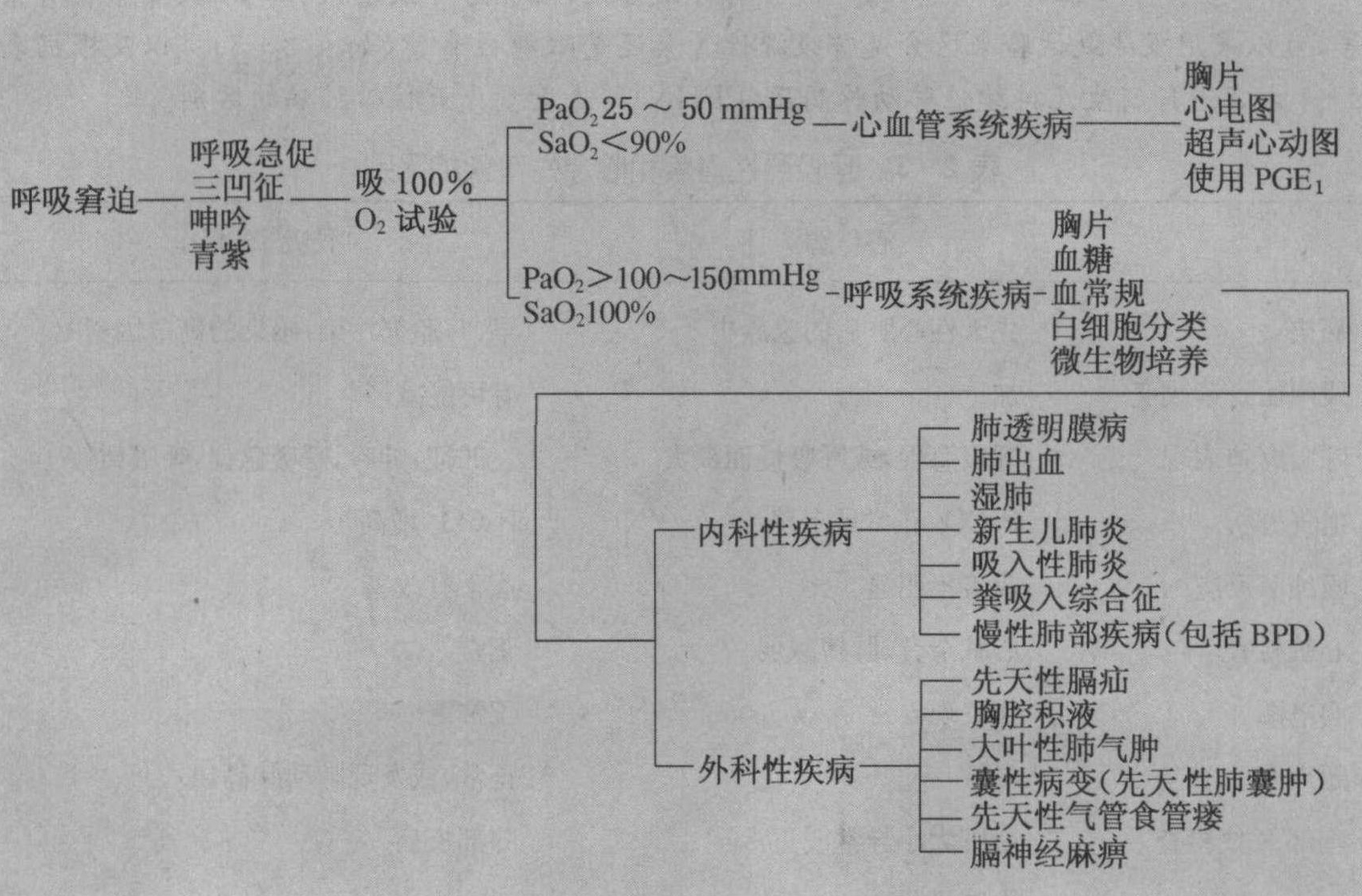 第一節(jié) 新生兒青紫